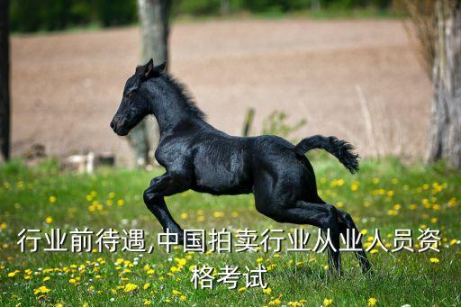 行业前待遇,中国拍卖行业从业人员资格考试