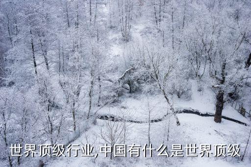 世界顶级行业,中国有什么是世界顶级