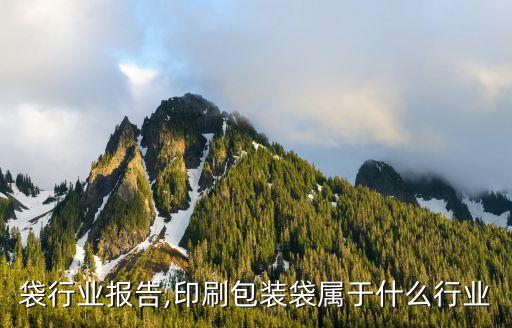 袋行业报告,印刷包装袋属于什么行业