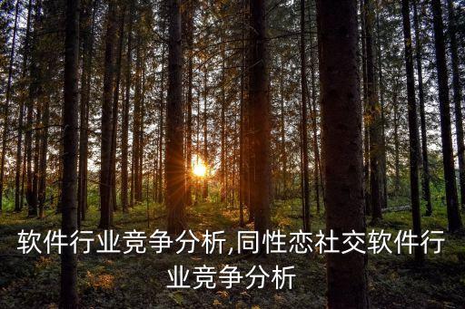 社交软件行业竞争分析,同性恋社交软件行业竞争分析