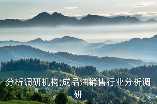 分析调研机构,成品油销售行业分析调研