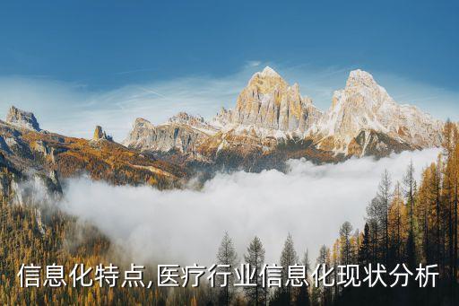 信息化特点,医疗行业信息化现状分析