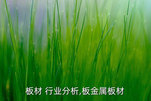 金属板材 行业分析,板金属板材
