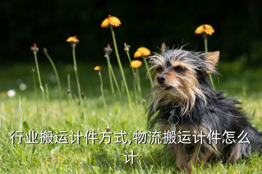 物流行业搬运计件方式,物流搬运计件怎么计