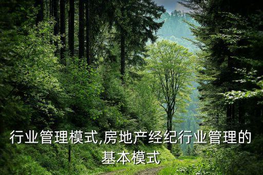电子行业管理模式,房地产经纪行业管理的基本模式