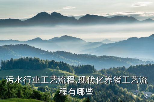 污水行业工艺流程,现代化养猪工艺流程有哪些