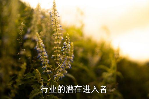猪肉行业的潜在进入者