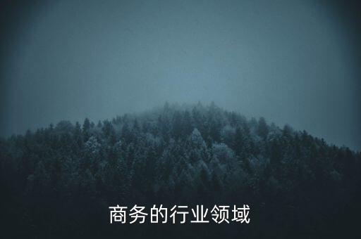商务的行业领域