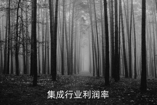 it集成行业利润率