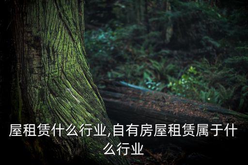 屋租赁什么行业,自有房屋租赁属于什么行业