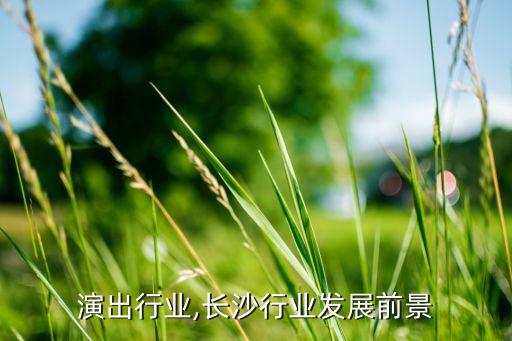 长沙演出行业,长沙行业发展前景