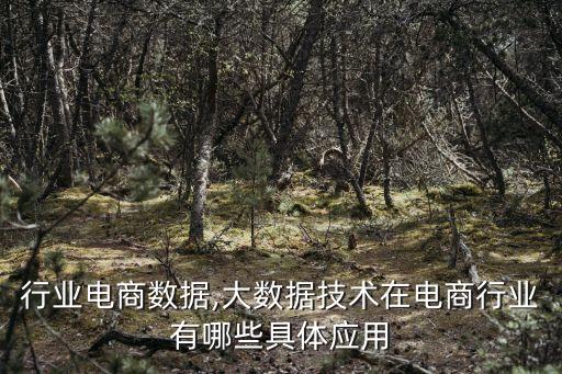 行业电商数据,大数据技术在电商行业有哪些具体应用