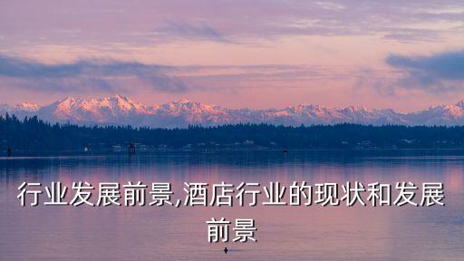 棉纺行业发展前景,酒店行业的现状和发展前景