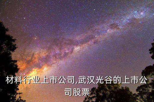 材料行业上市公司,武汉光谷的上市公司股票