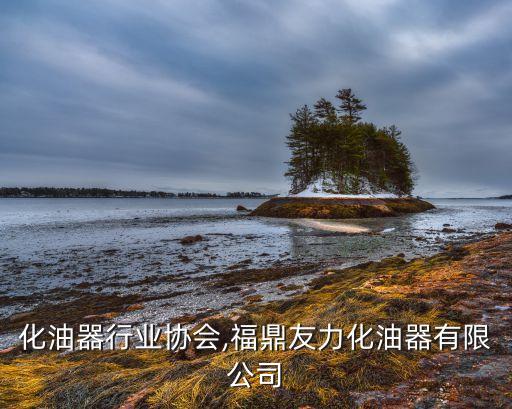 化油器行业协会,福鼎友力化油器有限公司