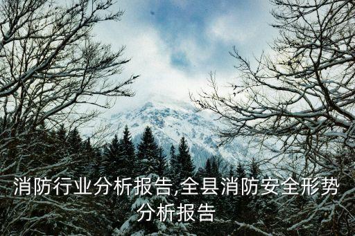 消防行业分析报告,全县消防安全形势分析报告
