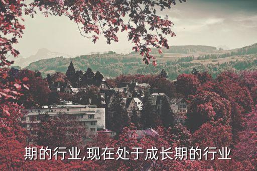 成长期的行业,现在处于成长期的行业