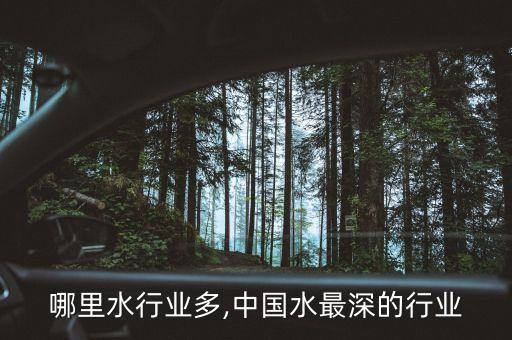 中国哪里水行业多,中国水最深的行业