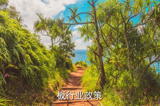 板行业政策