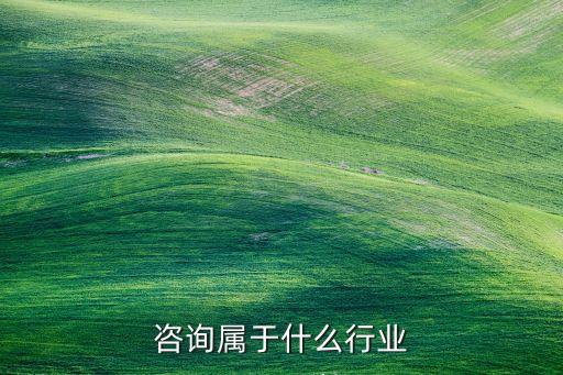 咨询属于什么行业