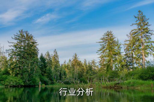 行业分析