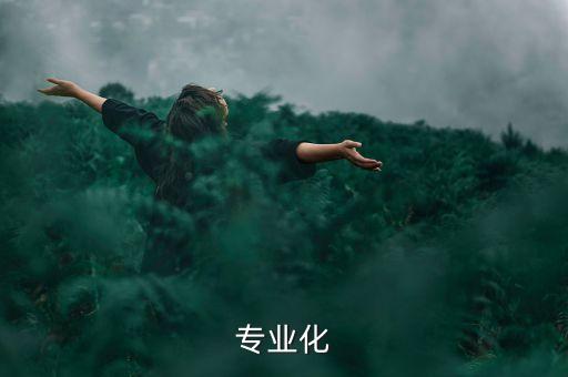 专业化