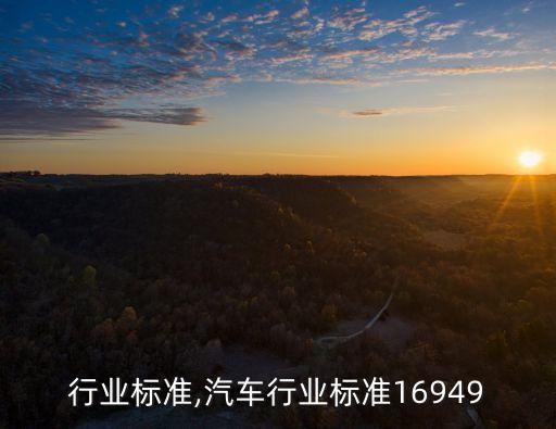 手柄行业标准,汽车行业标准16949