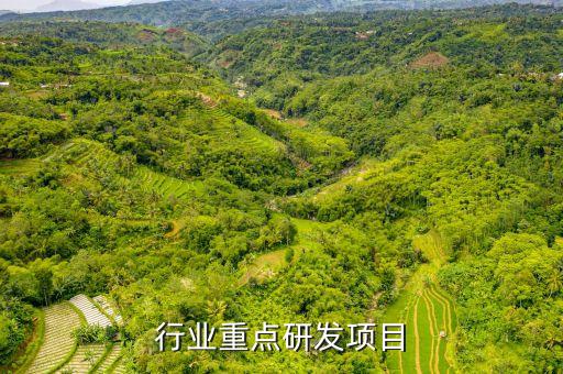 行业重点研发项目