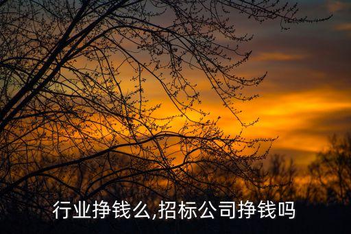 招标行业挣钱么,招标公司挣钱吗