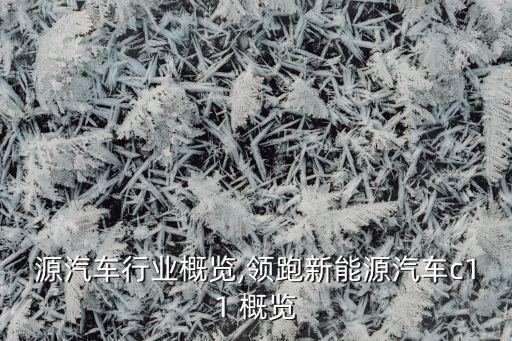 新能源汽车行业概览,领跑新能源汽车c11 概览