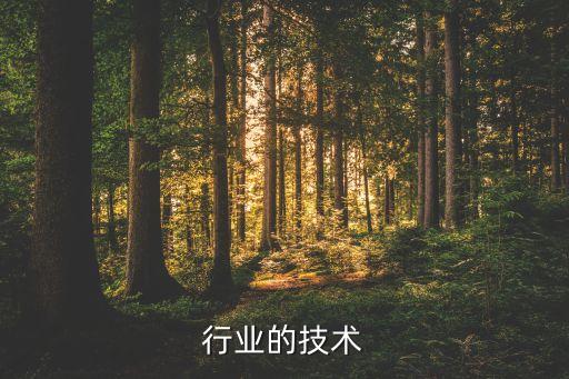 行业的技术