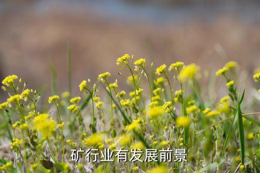 矿行业有发展前景