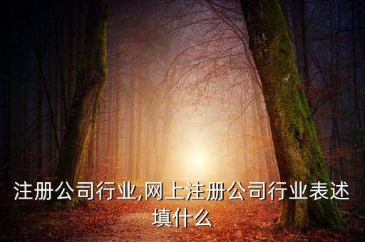 注册公司行业,网上注册公司行业表述填什么