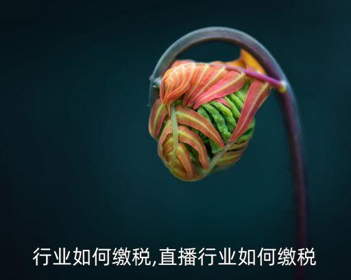 行业如何缴税,直播行业如何缴税