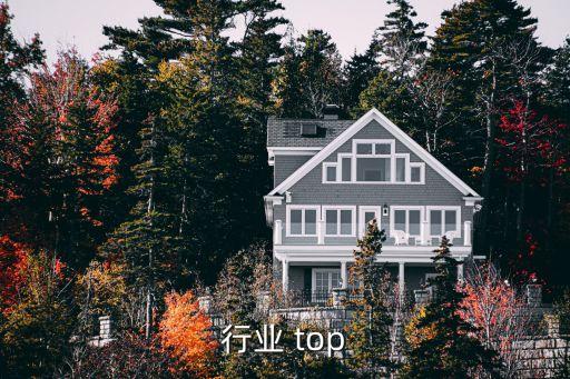 行业 top