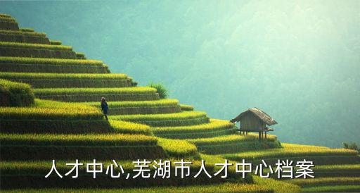 人才中心,芜湖市人才中心档案