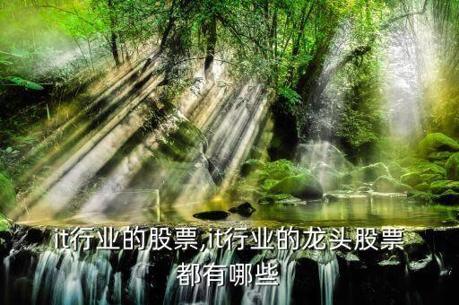 关于it行业的股票,it行业的龙头股票都有哪些?