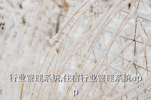 行业管理系统,住宿行业管理系统app