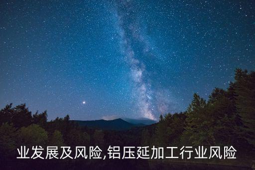 业发展及风险,铝压延加工行业风险