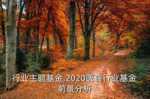 行业主题基金,2020医药行业基金前景分析