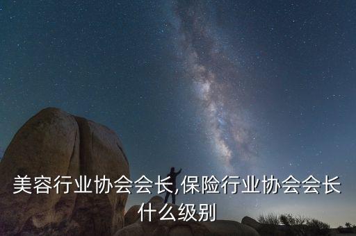 中国美容行业协会会长,保险行业协会会长什么级别