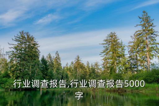 行业调查报告,行业调查报告5000字