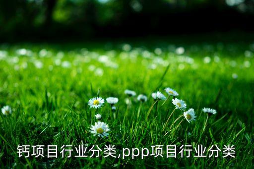 钙项目行业分类,ppp项目行业分类