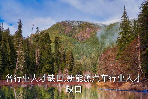 我国各行业人才缺口,新能源汽车行业人才缺口