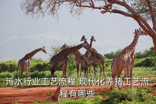 污水行业工艺流程,现代化养猪工艺流程有哪些