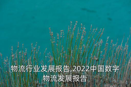 中国物流行业发展报告,2022中国数字物流发展报告
