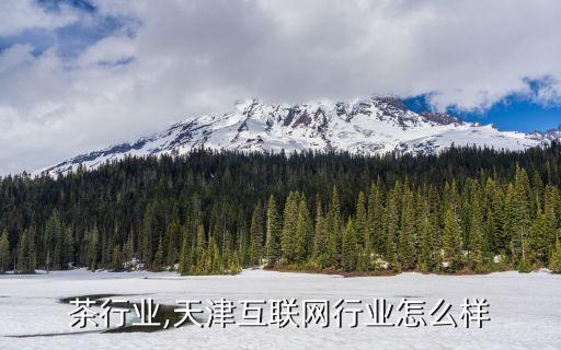 茶行业,天津互联网行业怎么样
