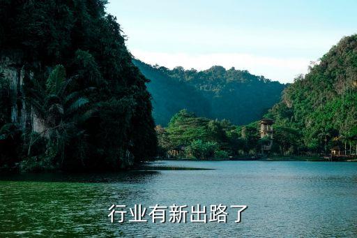 地矿行业有新出路了