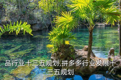 豆制品行业十三五规划,拼多多行业发展十三五规划