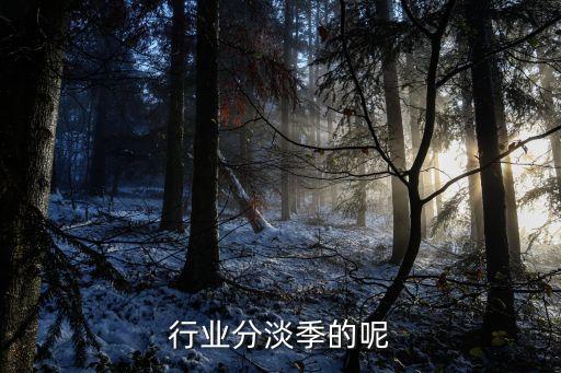 行业分淡季的呢